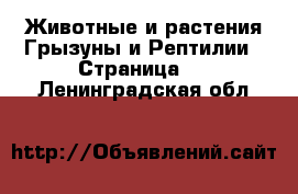 Животные и растения Грызуны и Рептилии - Страница 2 . Ленинградская обл.